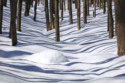 Snow Shadows