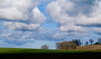 Anchell Photography Workshops