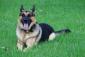 Janice W. Keener's picture Janice W. Keener's picture