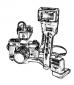 ballottasphotophy's picture ballottasphotophy's picture