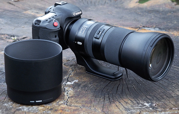 Tamron SP 150-600mm f/5-6.3 Di VC USD G2 Lens Review | Shutterbug