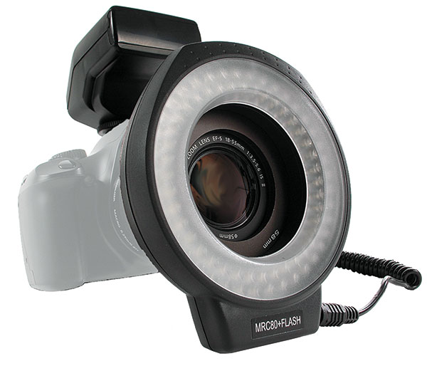 Ready for Your Close Up Our Favorite Lighting Tools For Macro