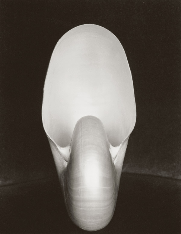 Remembering our inductee, Edward Weston. From 1906 to 1958
