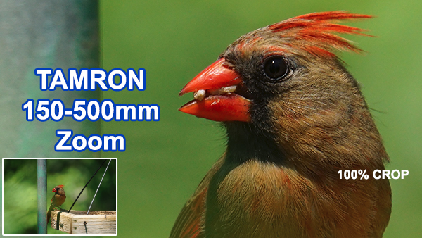 Tamron 150-500mm f/5-6.7 Di III VC VXD Review: Powerful Zoom for 