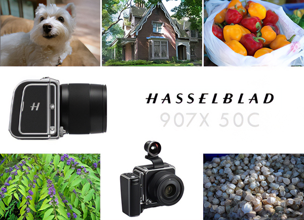 hasselblad 970x price