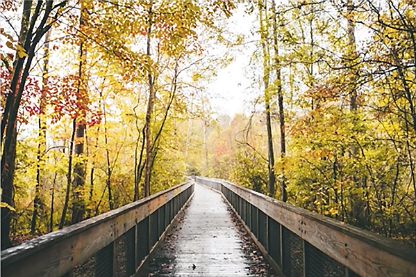 Featured image of post Editing Nature : Editing nature stands in solidarity with black people protesting their right to life.