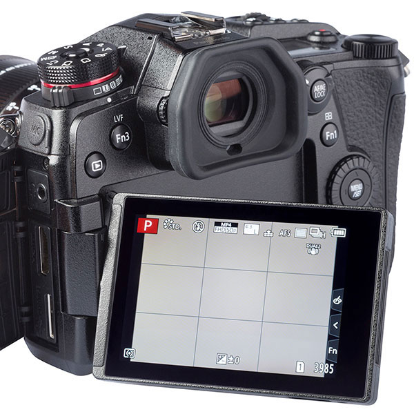 display for camera