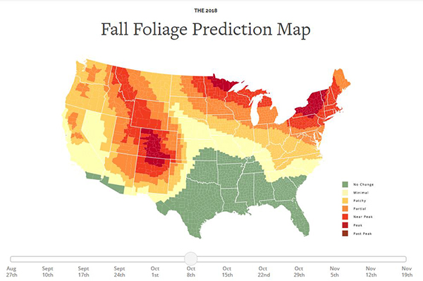 Our 5 Favorite Photo Filters For Photographing Fall Foliage | Shutterbug