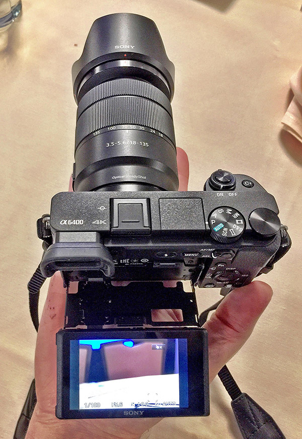 Sony a6400 Mirrorless Camera