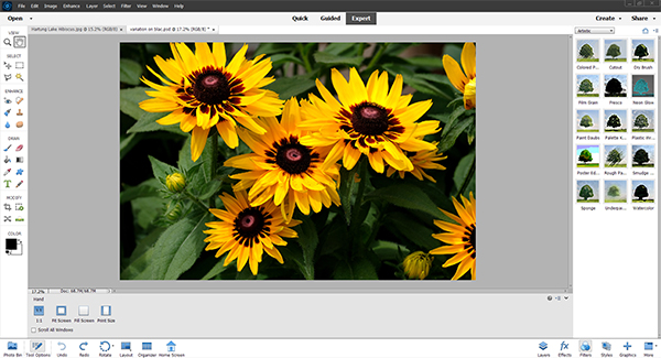 Adobe Photoshop Elements 2022 Software Review | Shutterbug Adobe Photoshop Elements 2022 Software Review | Shutterbug