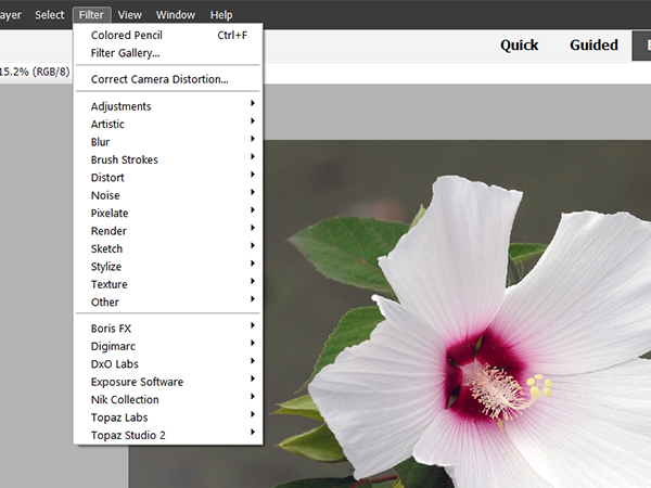 upgrade check adobe photoshop elements 8.0