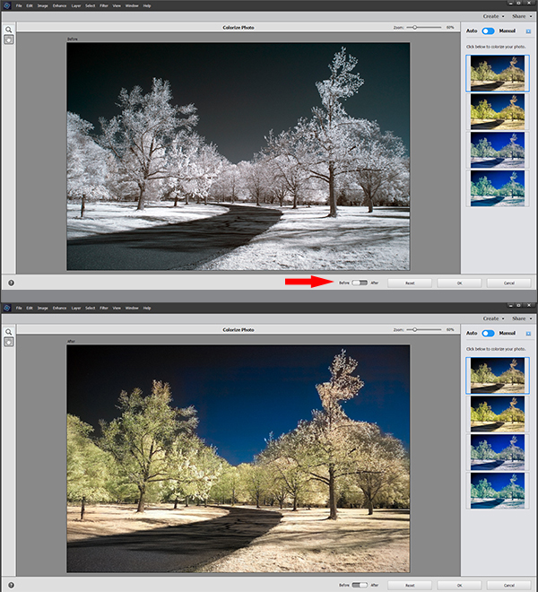 Adobe Photoshop Elements 2022 Software Review | Shutterbug