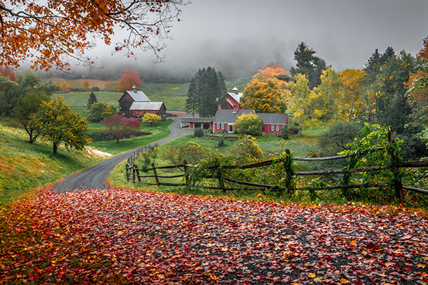 Here's How to Capture Gorgeous Fall Foliage Photos: 6 Autumn Color Tips ...