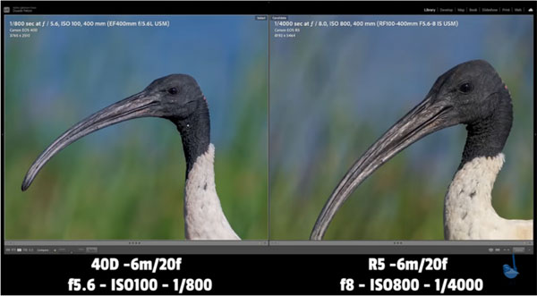 Get MAXIMUM Image IQ from Long Lenses for Nature & Wildlife Photography ...