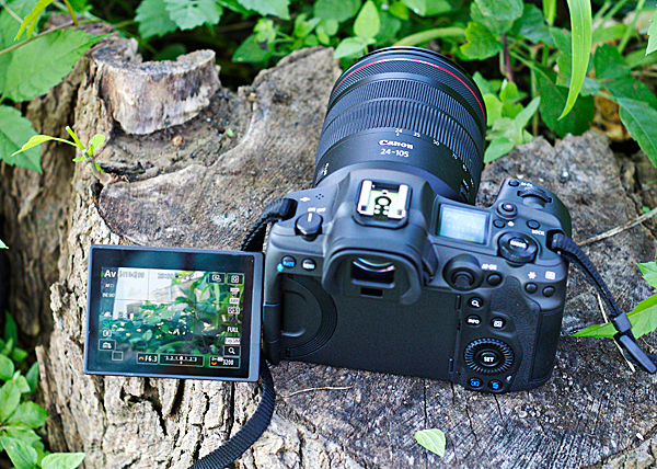 Canon EOS R5 Review: Canon's Best Camera Has One Big Flaw