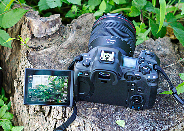 new canon camera r5