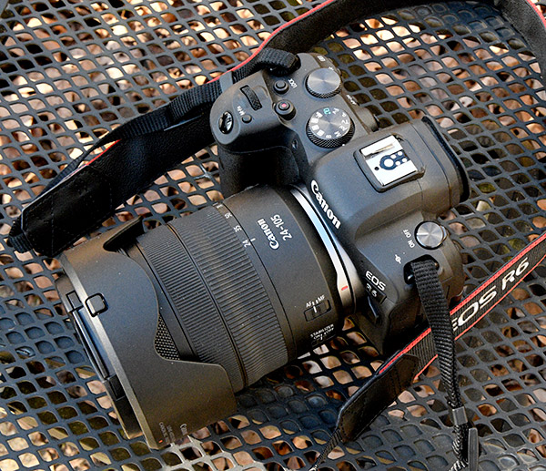 Canon EOS R6 Camera Review - Shutterbug