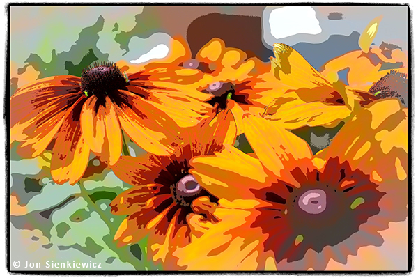 FREE Photo Editing Software: Olympus Workspace has Amazing Features and ...