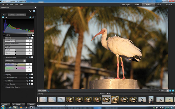 Acdsee Pro V 5 For Windows Raw Conversion Image Editing Plus Free Online Storage Shutterbug