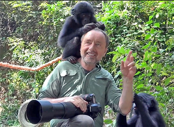 Check Out This Adorable Footage Of Bonobo Chimps Playing With Wildlife Check Out This Adorable Footage Of Bonobo Chimps Playing With Wildlife