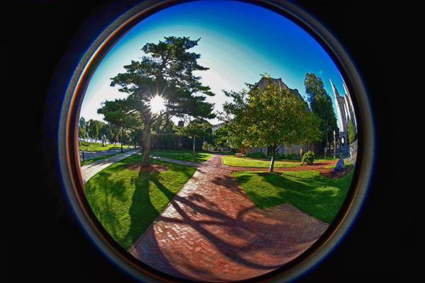 fisheye lens on phone