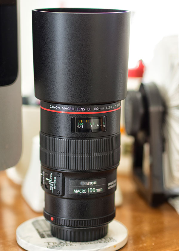 Canon Ef 100mm F 2 8l Macro Is Usm Lens Review Up Close Personal With A Classic Canon Macro Shutterbug