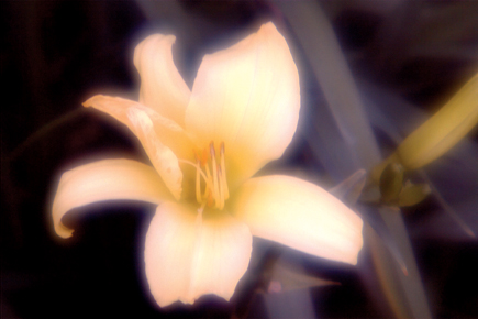 expeditie Ringlet Neerduwen Soft Focus Revisited, Digitally; How To Make Your Own Soft-Focus Lens Like The One I've Used For 40 Years | Shutterbug expeditie Ringlet Neerduwen Soft Focus Revisited, Digitally; How To Make Your Own Soft-Focus Lens Like The One I've Used For 40 Years | Shutterbug