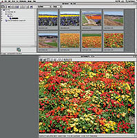 fuji finepix viewer for mac fuji finepix viewer for mac