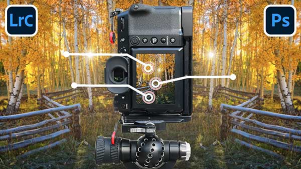 Intro to Focus Stacking: An Easy Way to Get Super Sharp Images (VIDEO)