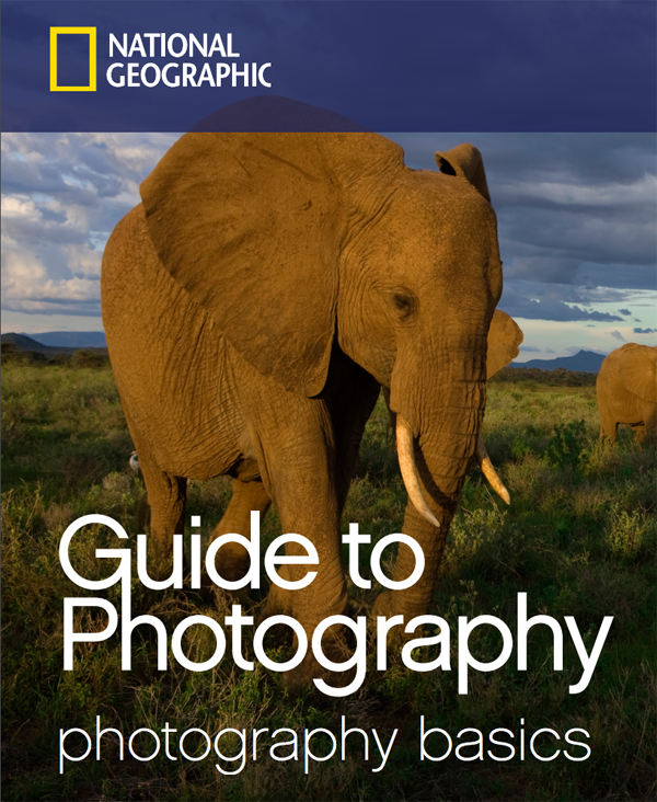 Photographing Wildlife -- Photo Tips -- National Geographic