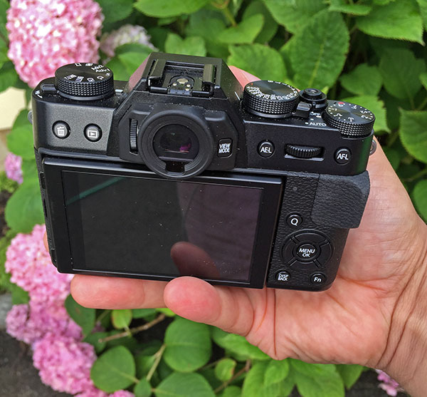 Fujifilm X T Mirrorless Camera Review Full Resolution Test