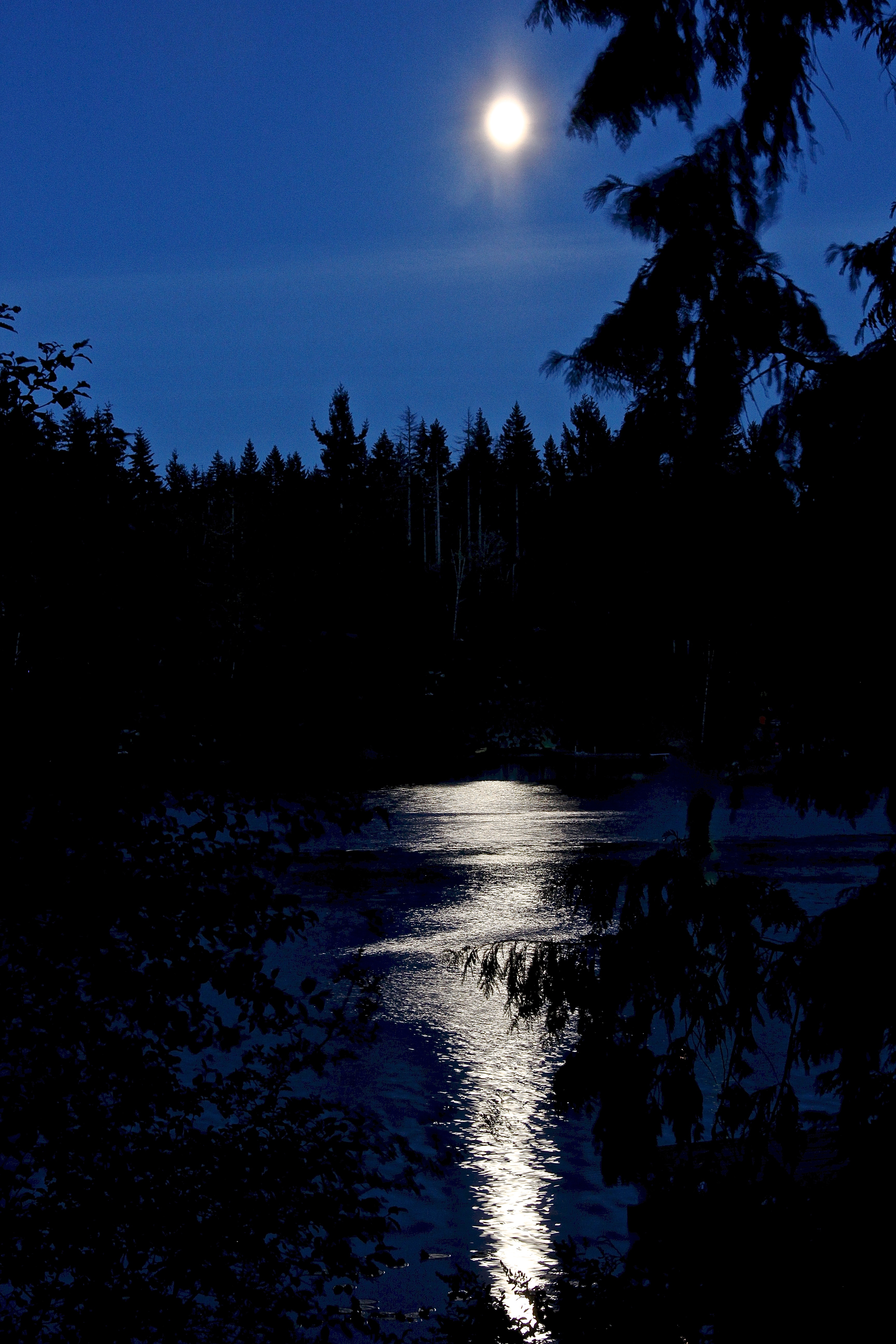 Moon Over Lake Shutterbug