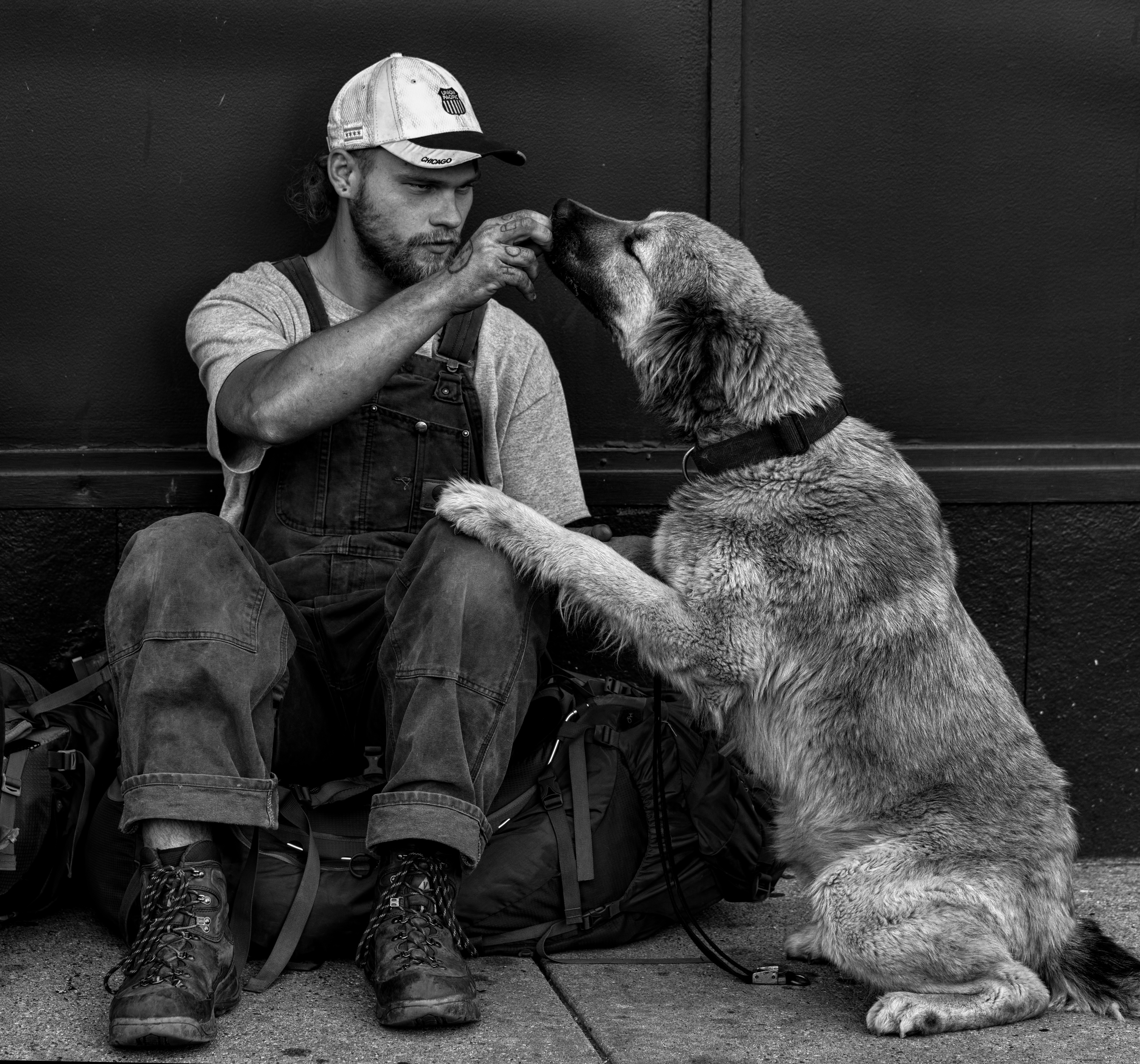 Собака и ее душа. Человек с собакой. Бездомные собаки. Хозяин собаки. Парень с собакой.