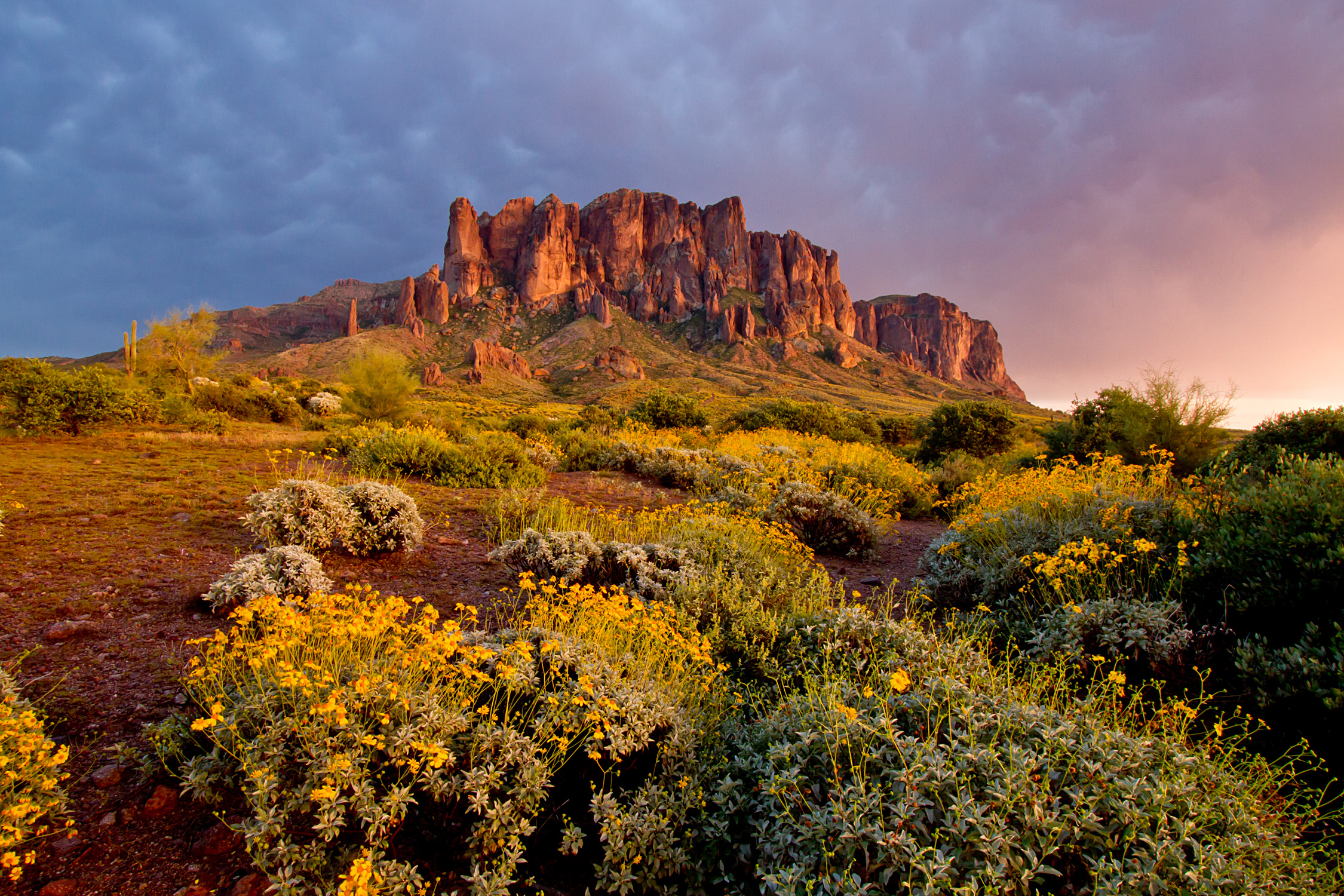  Superstition Mountains  Sunset Afterglow Shutterbug