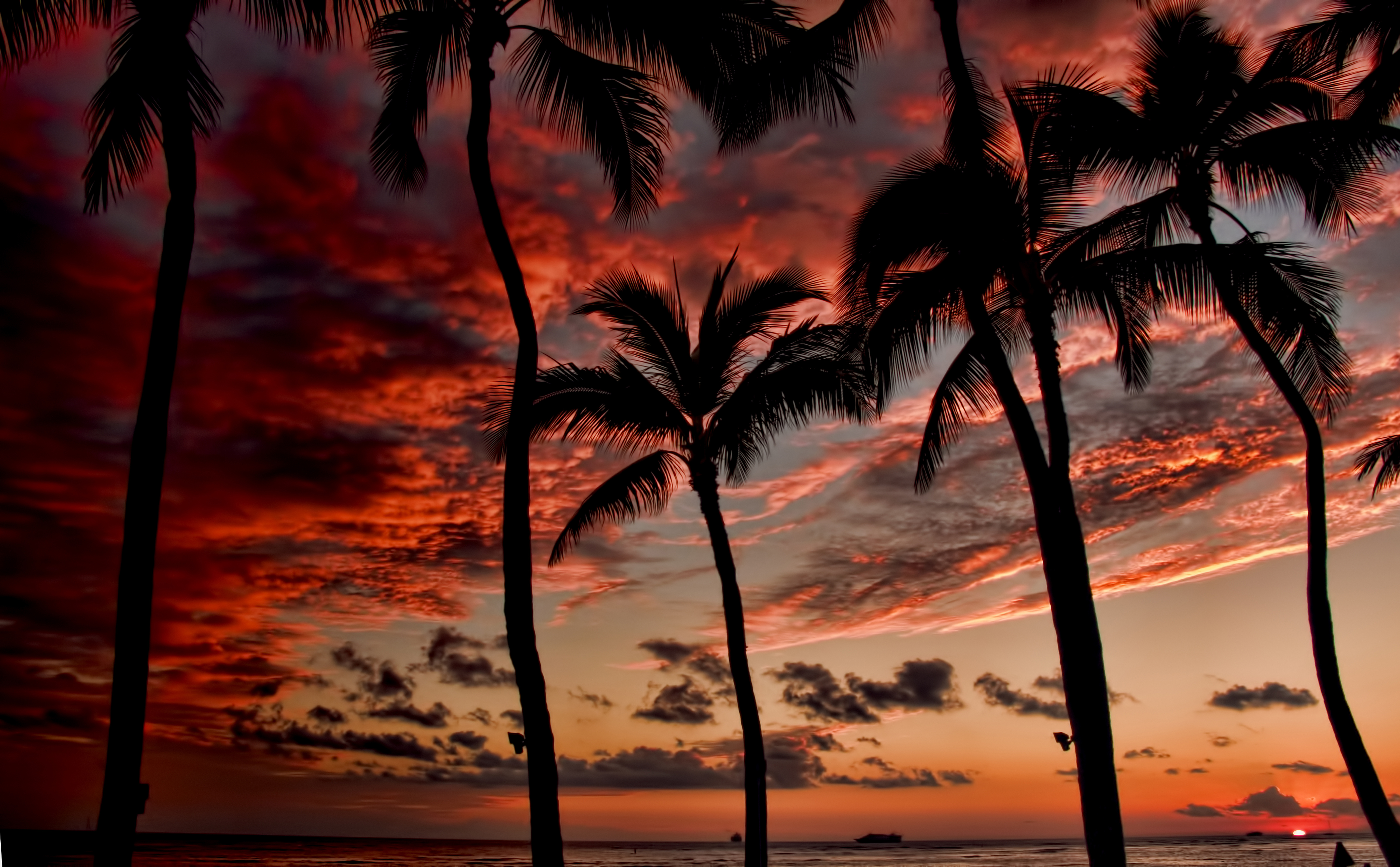 Waikiki Sunset Shutterbug
