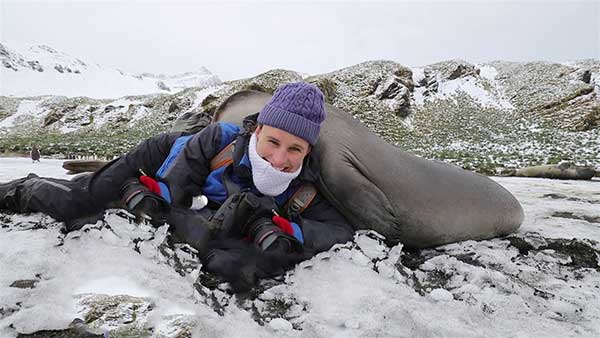 Watch a Wildlife Photographer Get Squashed by Elephant Seals (VIDEO)