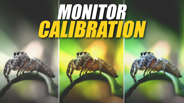 The Quick & Easy Way to Calibrate a Monitor for Photos with Precise Color (VIDE0)