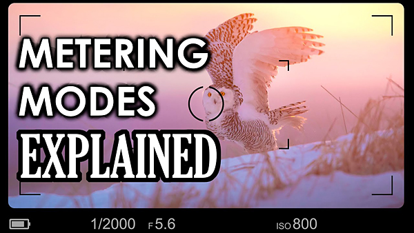 Camera Basics: Which Metering Mode to Use When? (VIDEO)