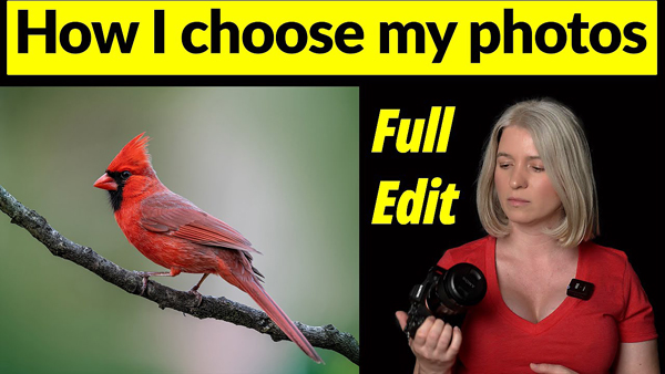 What Makes a Great BIRD Photo & How to ENHANCE it in Photoshop (VIDEO)