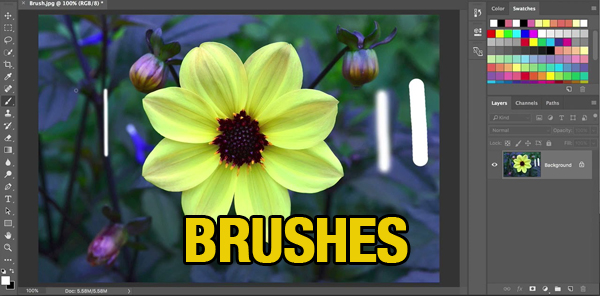 How to Work with Brush Tools in Photoshop (VIDEO)