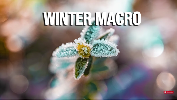 MACRO Winter Wonderland Photos: Here’s How (VIDEO)