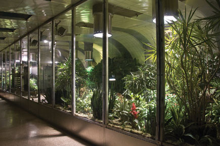 American Museum Of Natural History Promo American Museum Of Natural History Promo