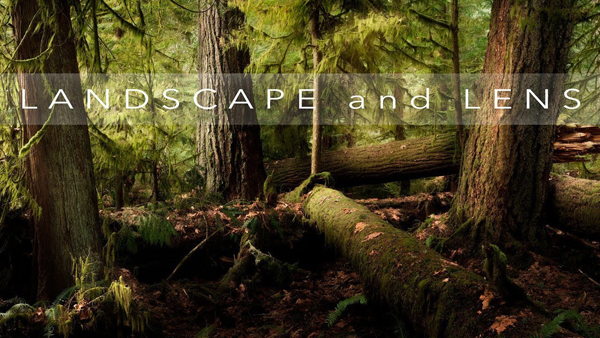 Landscapepro discount coupons