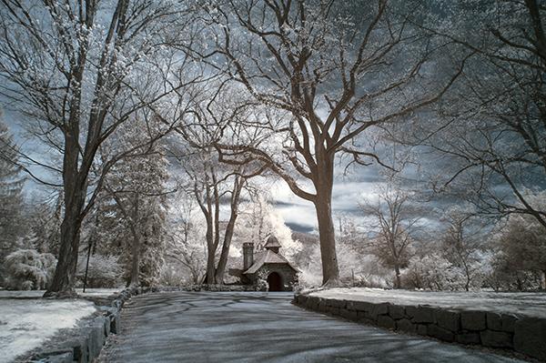 nikon infrared conversion