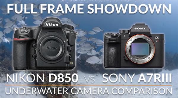 nikon d850 or sony a7iii