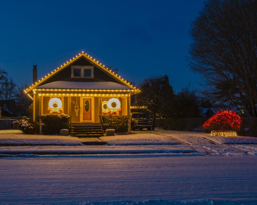 Cheerful Oasis in the Snow | Shutterbug