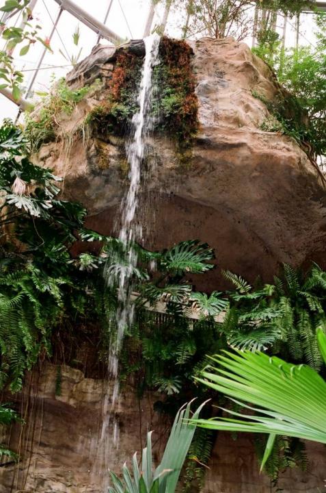 Waterfall Cockrell Butterfly Center Houston Museum Of Natural