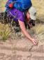 Pam Barnhart's picture